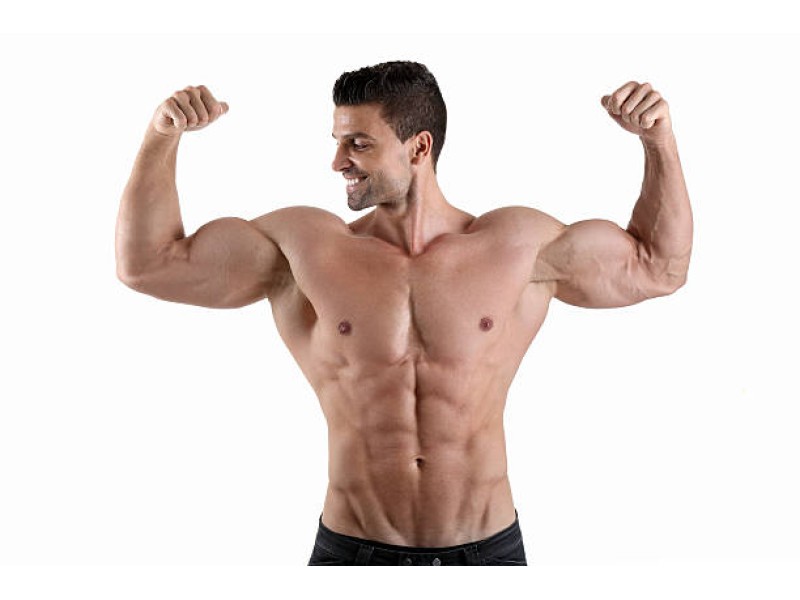 CASTING BARBATI CARE PRACTICA BODYBUILDING - RECLAMA MAGAZIN CU ARTICOLE SPORTIVE	